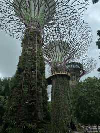 ทริปสิงคโปร์🇸🇬