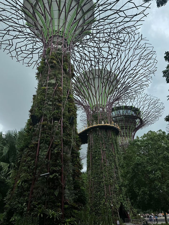 ทริปสิงคโปร์🇸🇬