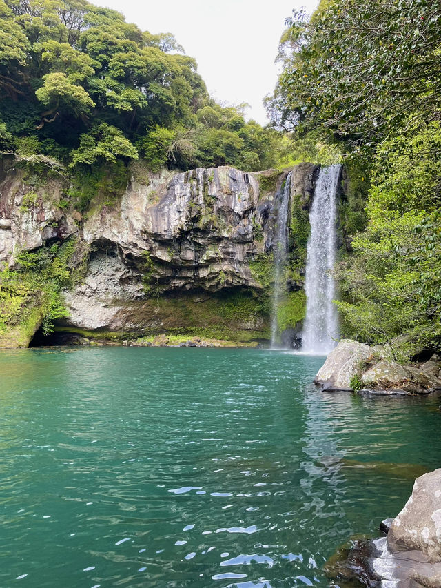 💦 천지연폭포, 서귀포의 장관