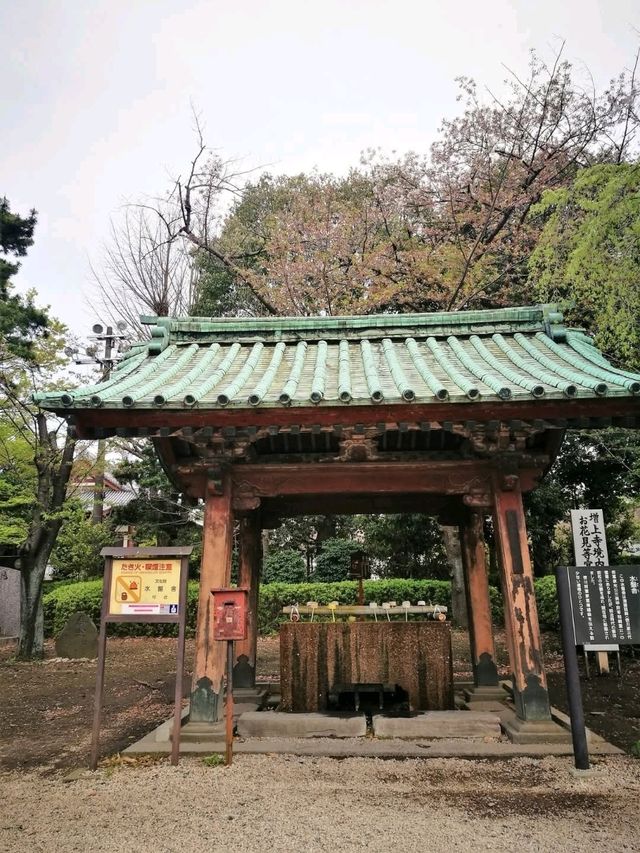 Daytrip to Shiba Park