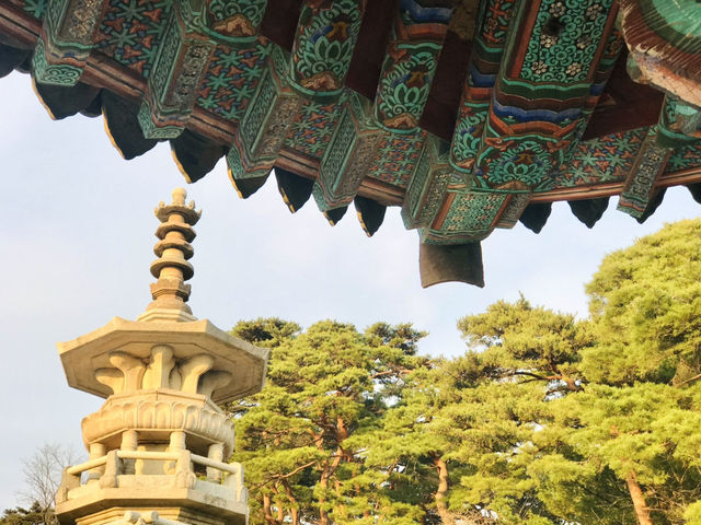 경주 감성 당일치기✨ 감포항부터 안압지 야경까지 알찬 코스