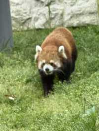 大阪天王寺動物園