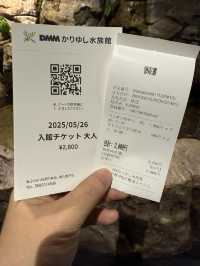 沖繩｜麻雀雖小、五藏俱全，DMM水族館主打互動體驗