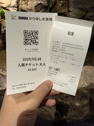 Okinawa｜Small but packed with wonders, DMM Aquarium focuses on interactive experiences.