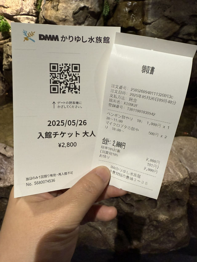 沖繩｜麻雀雖小、五藏俱全，DMM水族館主打互動體驗