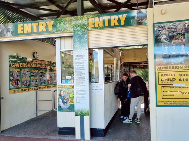 A Day at Caversham Wildlife Park