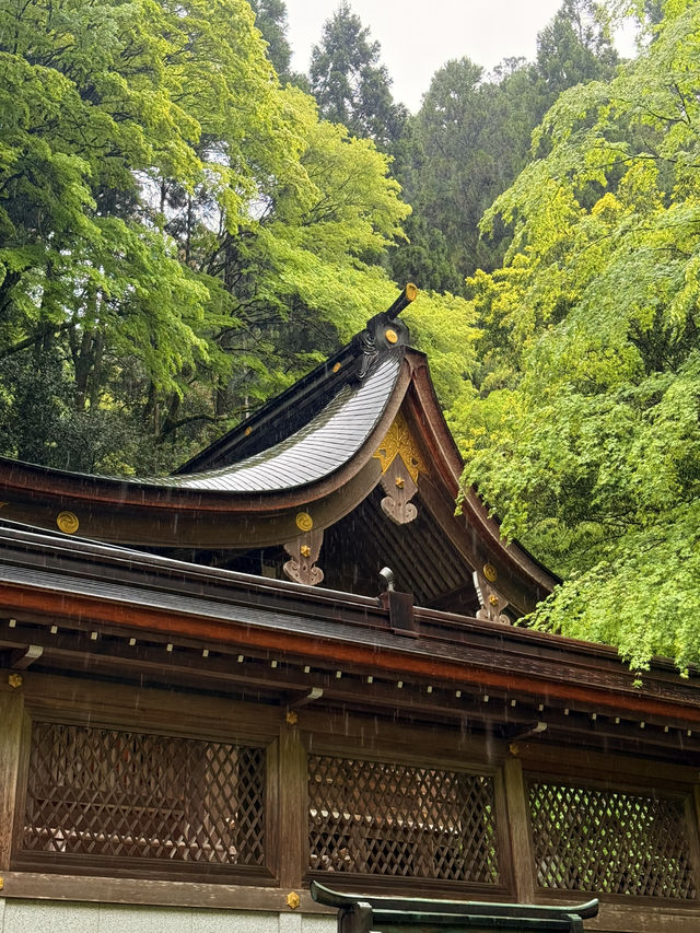 京都｜到貴船神社抽水籤 春有綠意秋楓紅 感受京都絕美詩意
