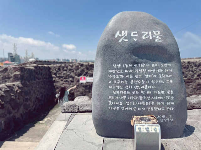 오늘의 데이트는 맑음 ☀️