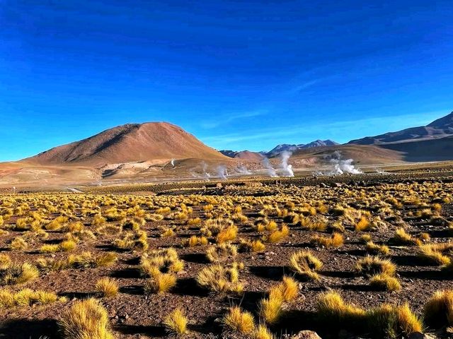 El Tatio Geysers – Sunrise Magic at Earth’s Rooftop