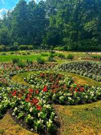 Tiergarten – Berlin’s Iconic Green Escape