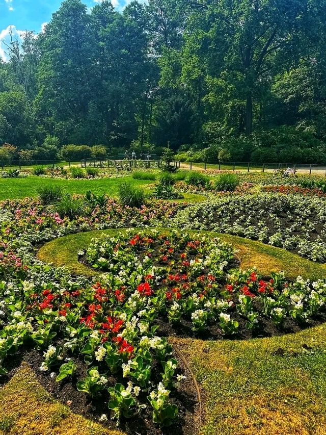 Tiergarten – Berlin’s Iconic Green Escape