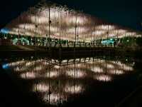 สวนดอกไม้ ตระการตา ใกล้โตเกียว