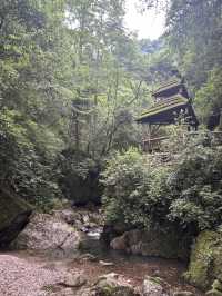 A Quiet Afternoon in Qingcheng’s Back Mountain