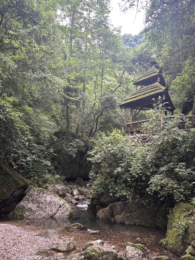 A Quiet Afternoon in Qingcheng’s Back Mountain