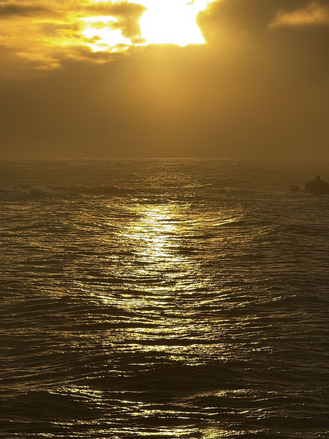 Surfer harbour in NZ!