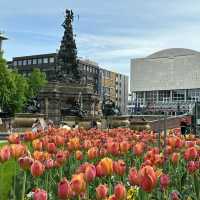 🚶‍♂️ “Gridlines and Graffiti: A City Walk Through Mannheim”