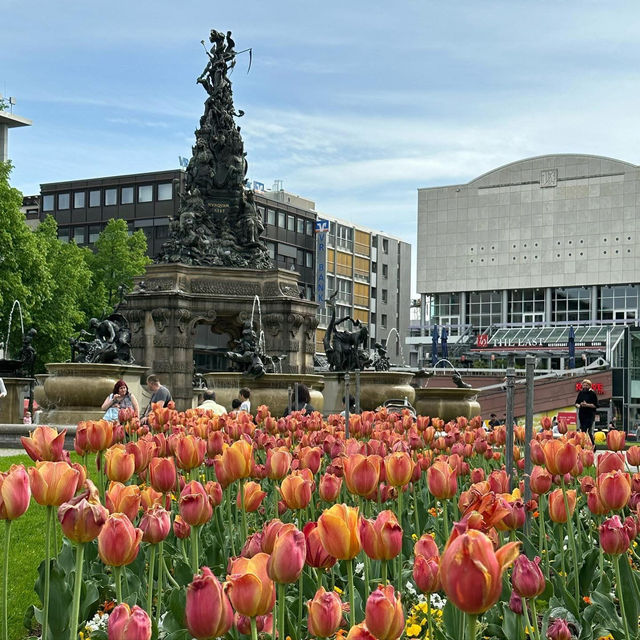 🚶‍♂️ “Gridlines and Graffiti: A City Walk Through Mannheim”