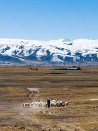 Tibet: the roof of the world