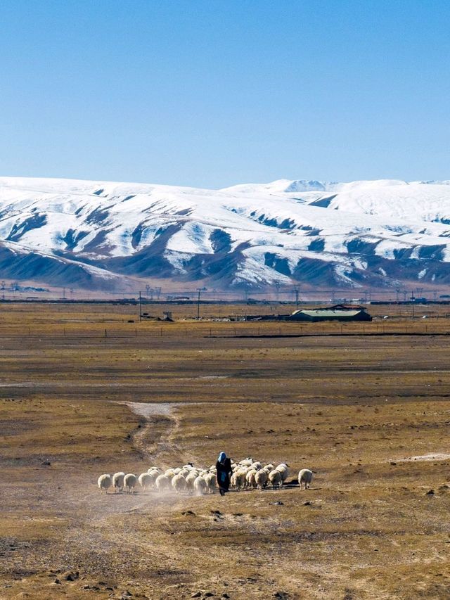 Tibet: the roof of the world
