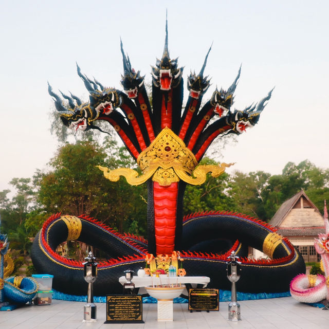 วัดทุ่งไทรทอง