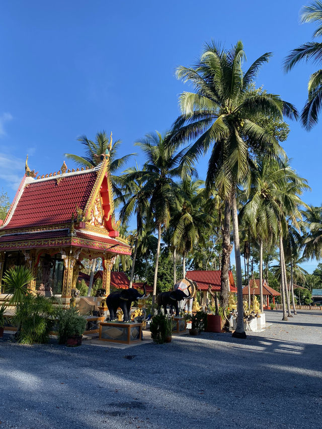 ✨ วัดลานช้าง ✨