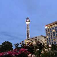 Yokohama One-Day City Walk Guide (with Shopping & Food Tips!) 🚶‍♀️🛍️🍜