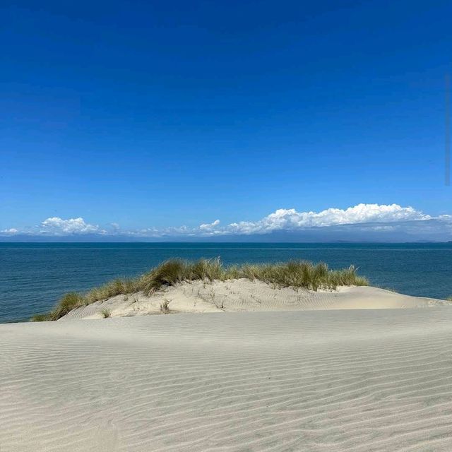 Farewell Spit