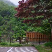 Tunnel of Light จุดเช็คอินสุดปังแห่งเมือง Niigata🇯🇵