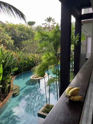 Monkeys might visit your room? The Ritz-Carlton Bali 🩵