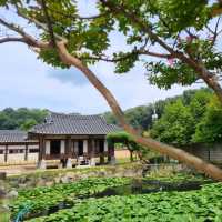 Wandering Through Okcheon-gun