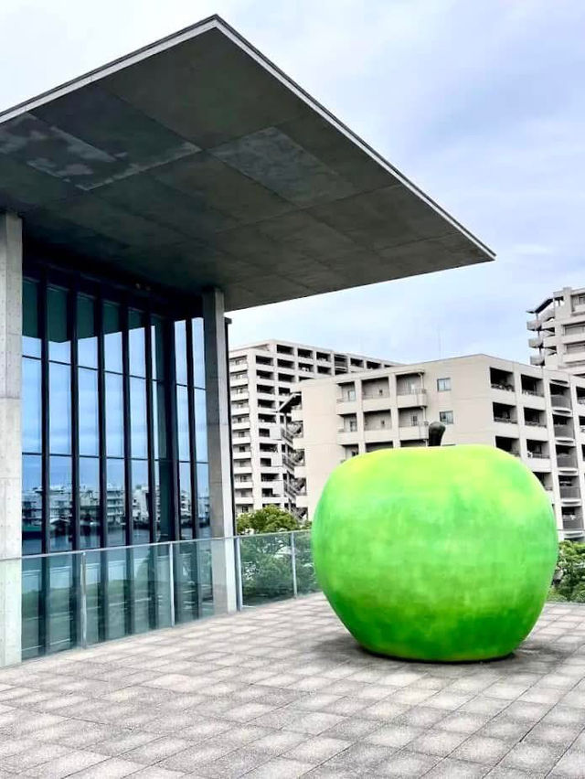 神戶 💕 安藤忠雄的青蘋果🍏～兵庫縣立美術館