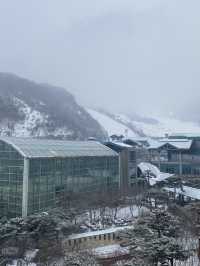 스키여행의 낭만을 제대로 느낄 수 있는 1박 2일 곤지암 여행⛷️