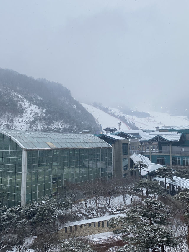 스키여행의 낭만을 제대로 느낄 수 있는 1박 2일 곤지암 여행⛷️