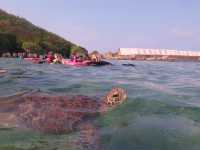 🏝️【台灣・小琉球｜海風輕輕，時光慢慢】