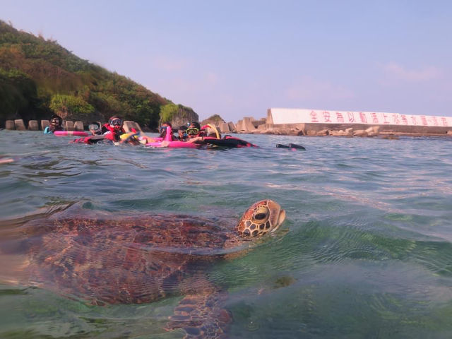 🏝️【台灣・小琉球｜海風輕輕，時光慢慢】
