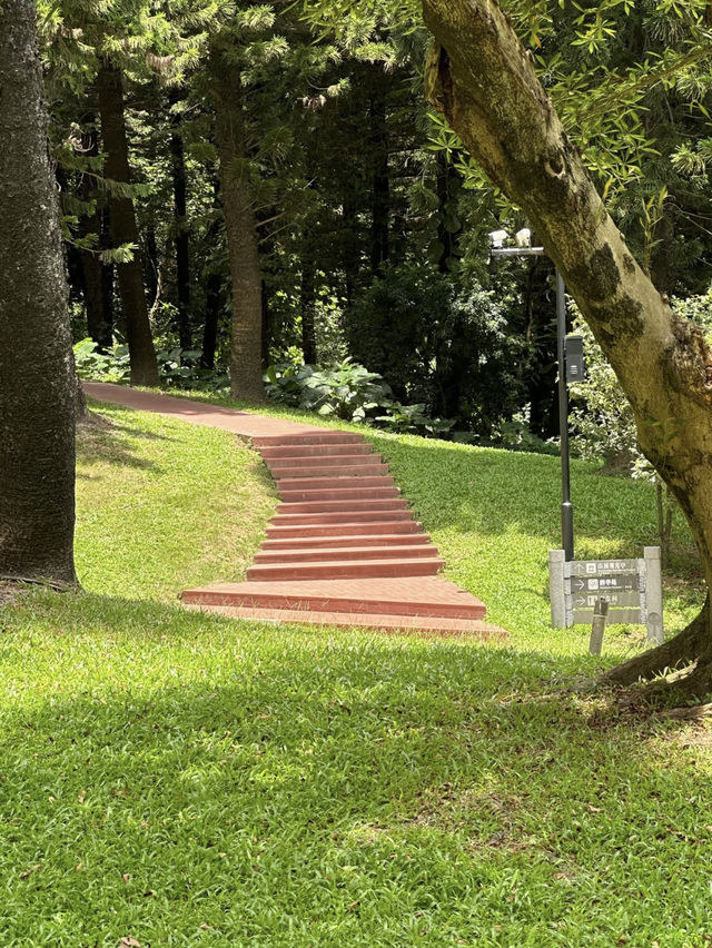 Yuntai Garden (云台花园) – Guangzhou’s Floral Escape at Baiyun Mountain
