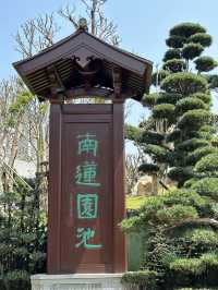 A Tranquil and Budget-Friendly Oasis – Nan Lian Garden, Hong Kong