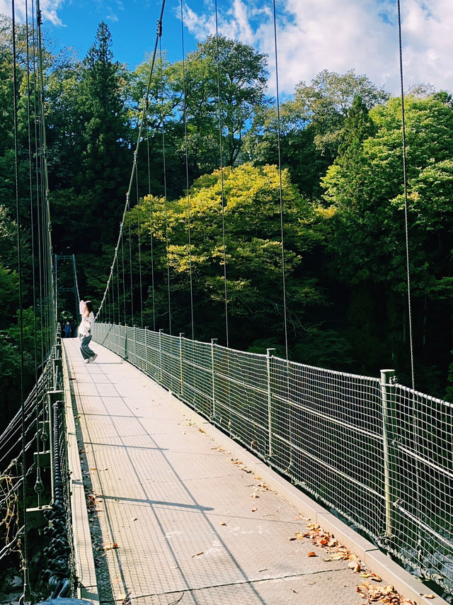 🏞️天龍峡｜長野・飯田が誇る名勝峡谷