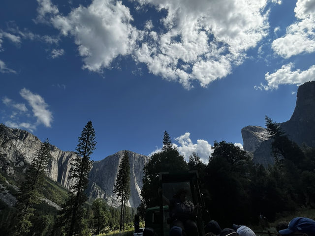 🌲 요세미티 밸리 로지 (Yosemite Valley Lodge)