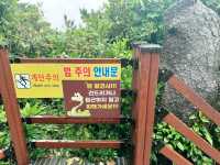 🌧️ 비내리던 날 ‘정방폭포’