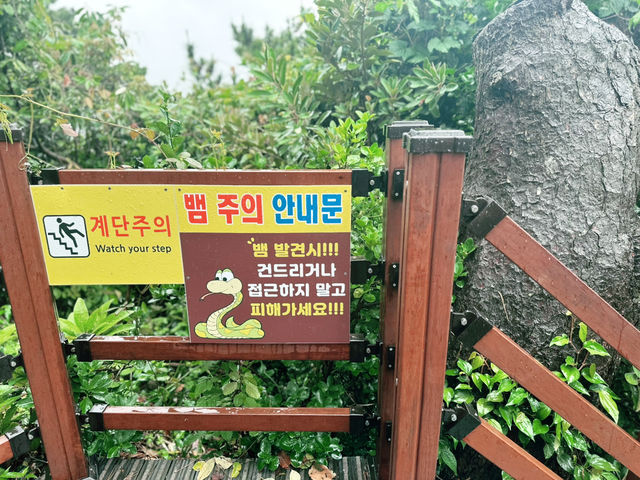 🌧️ 비내리던 날 ‘정방폭포’