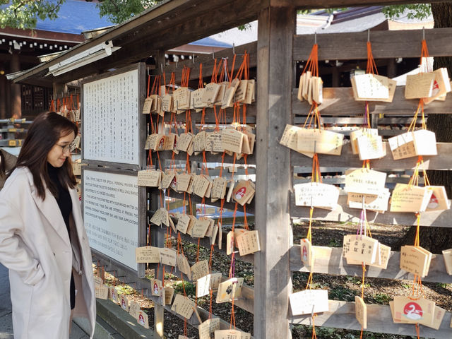 ⛩️ Peaceful Escape at Meiji Jingu ⛩️