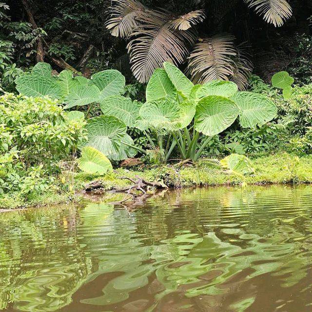 Tasik Cermin (Mirror Lake), Ipoh