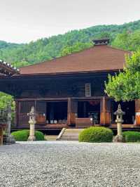 🍇ぶどうと仏の物語。大善寺で心静まる歴史旅⛩️