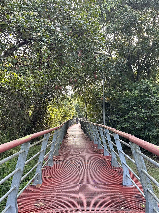 Cardio Cancelled, Healing Activated : Taman Tasik Cyberjaya