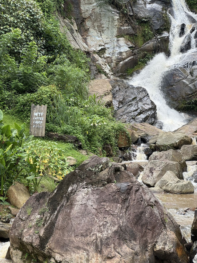 คาเฟ่เชียงใหม่ที่ไม่ควรพลาดต้องที่นี่ WTF Cafe ⛰️