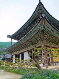 Ancient Feels at Muryangsa Temple