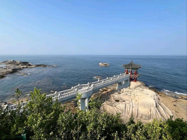 Ocean Vibes at Yeonggeumjeong Pavilion