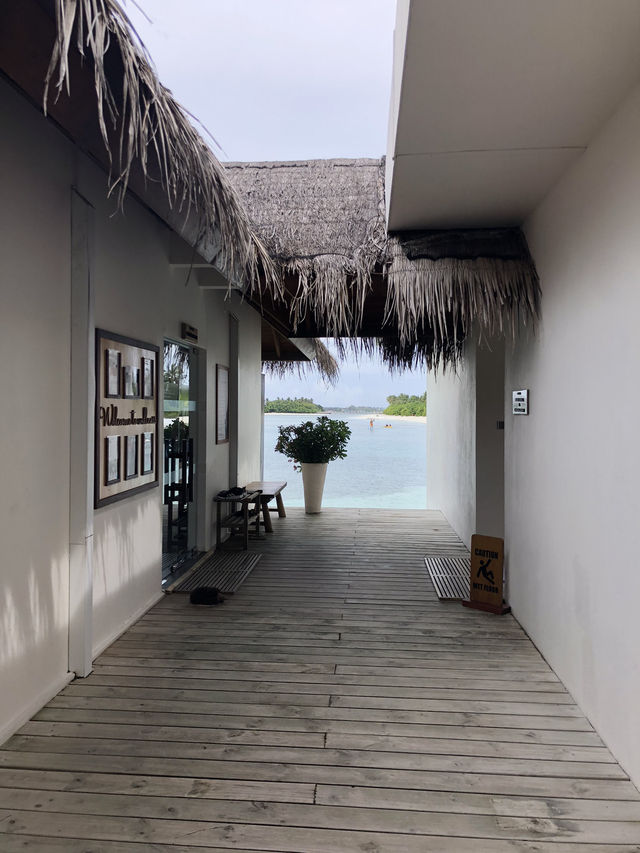 🥂 햇살 아래 즐기는 몰디브 럭셔리 런치 & 와인 페어링 🌴
