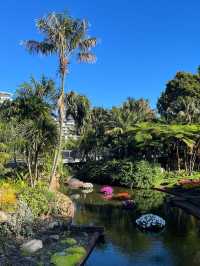 Spectacle Garden: A Colorful Escape in Brisbane